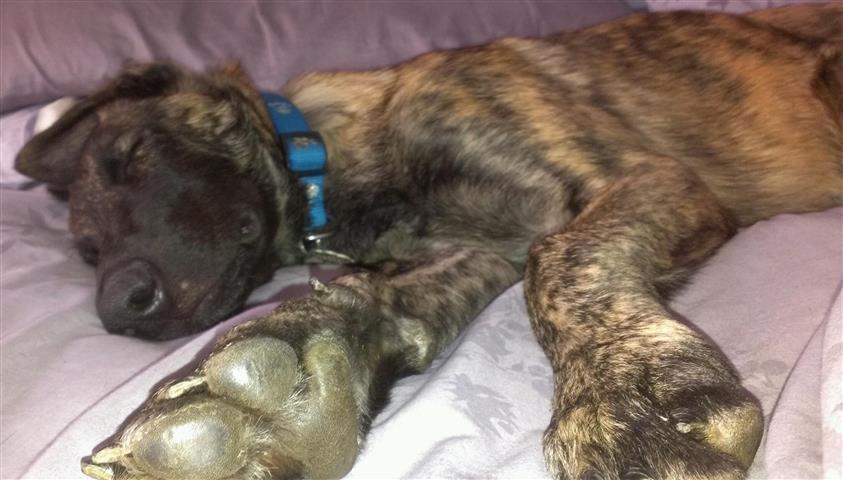 zzzzzzzzzzzzzzzzzzzzz