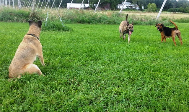 20130904_155949.jpg