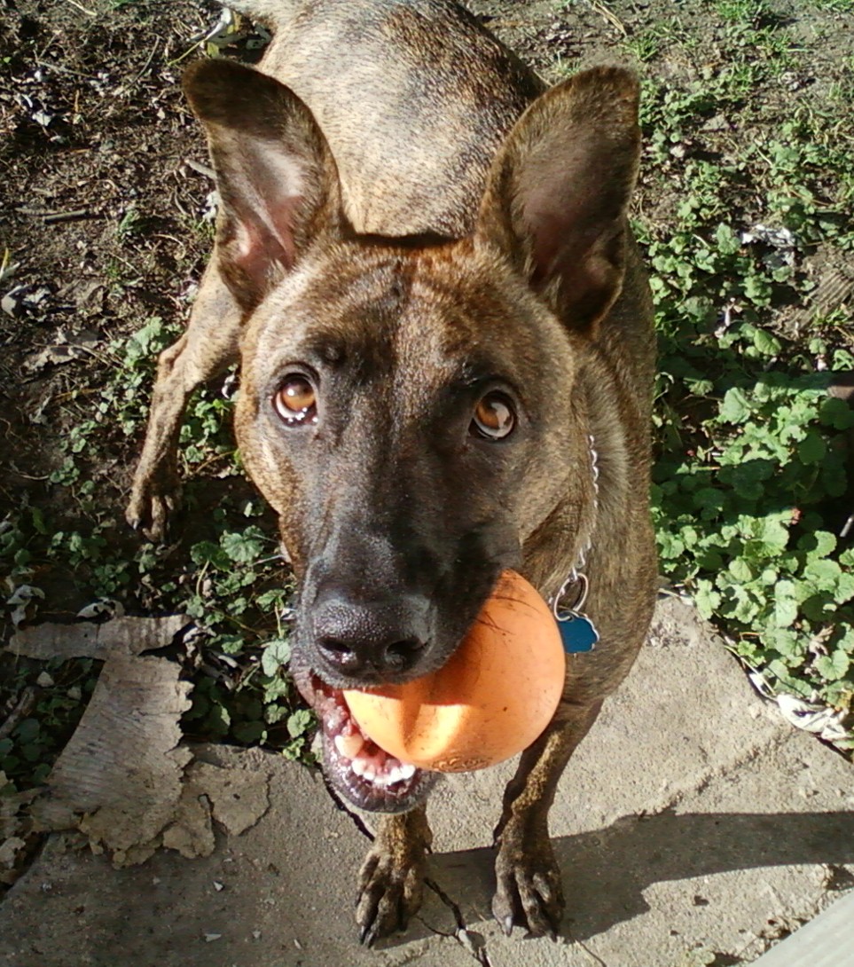Mason n ball.jpg