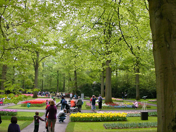 Keukenhof