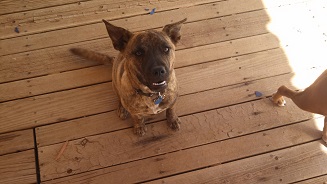 sixmonthsold2.jpg
