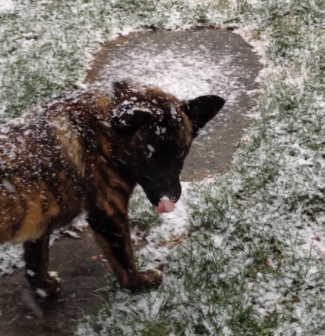 Winter Photo.jpg