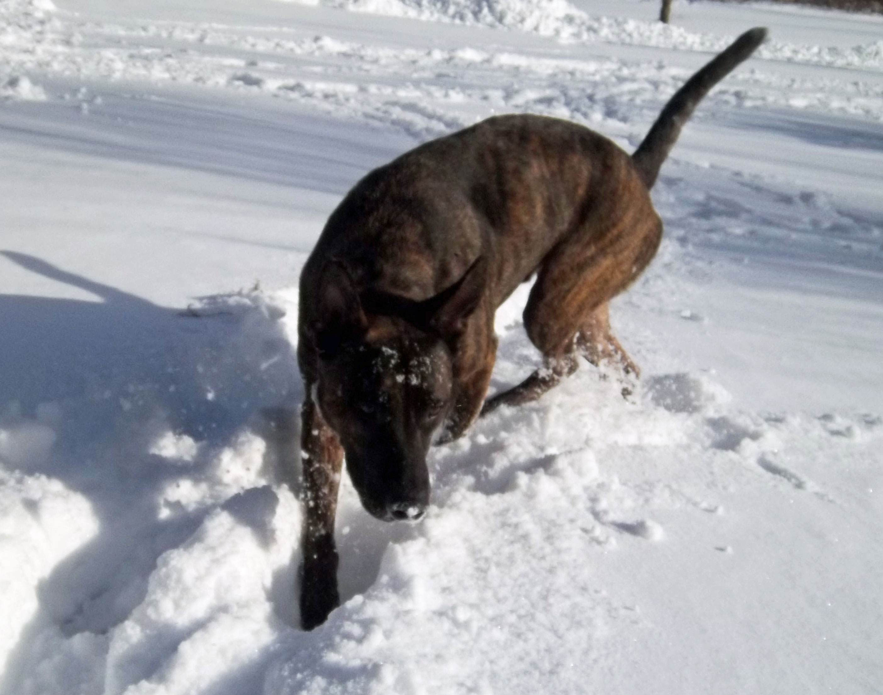 Odin-winter-contest.jpg