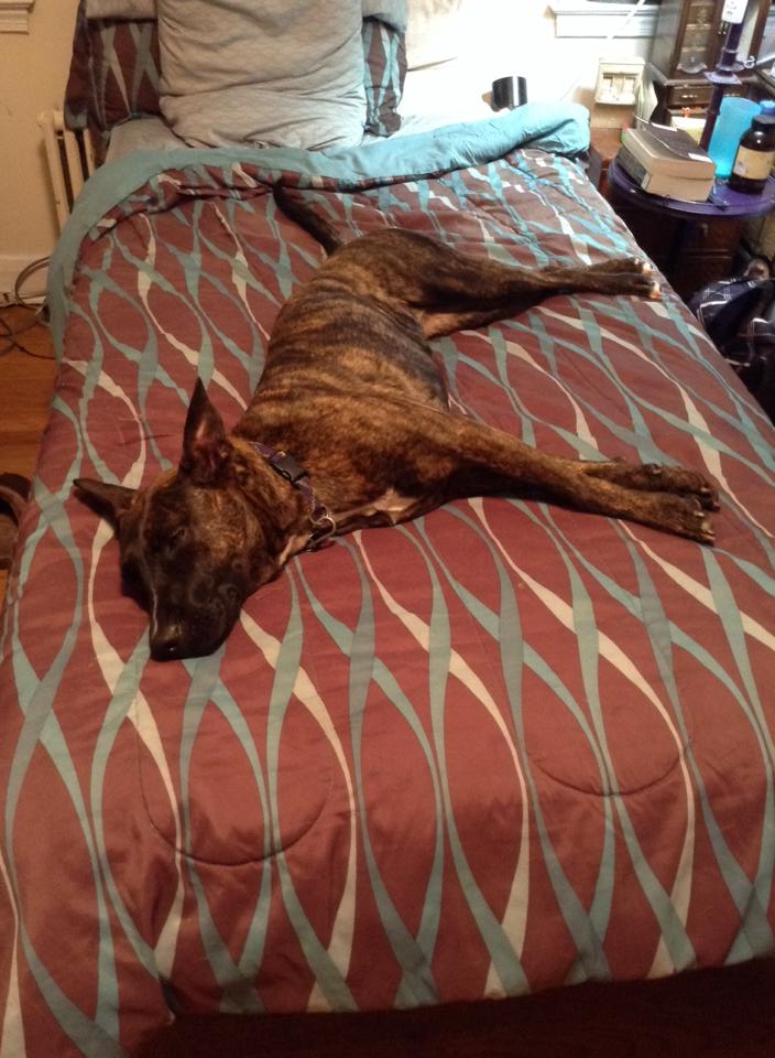 bella 1.jpg