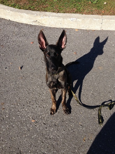 Logan @ 4months