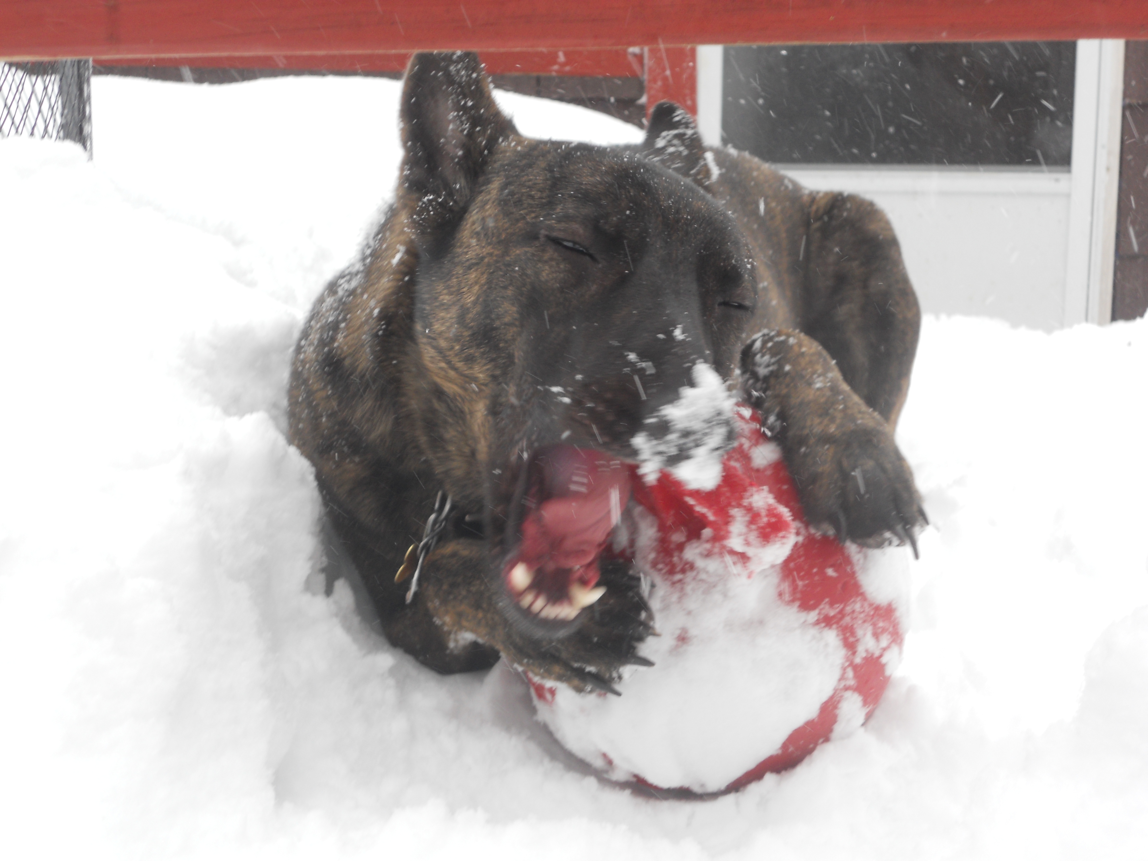 Snow+Jollyball=Nirvana.JPG