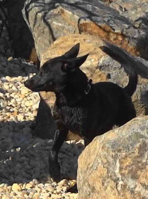 Tracer navigating the rock aisles