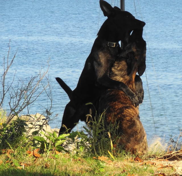if i go off the cliff, you're going with me!