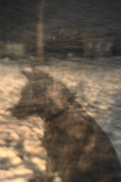 Sakima's Ghost(1).jpg