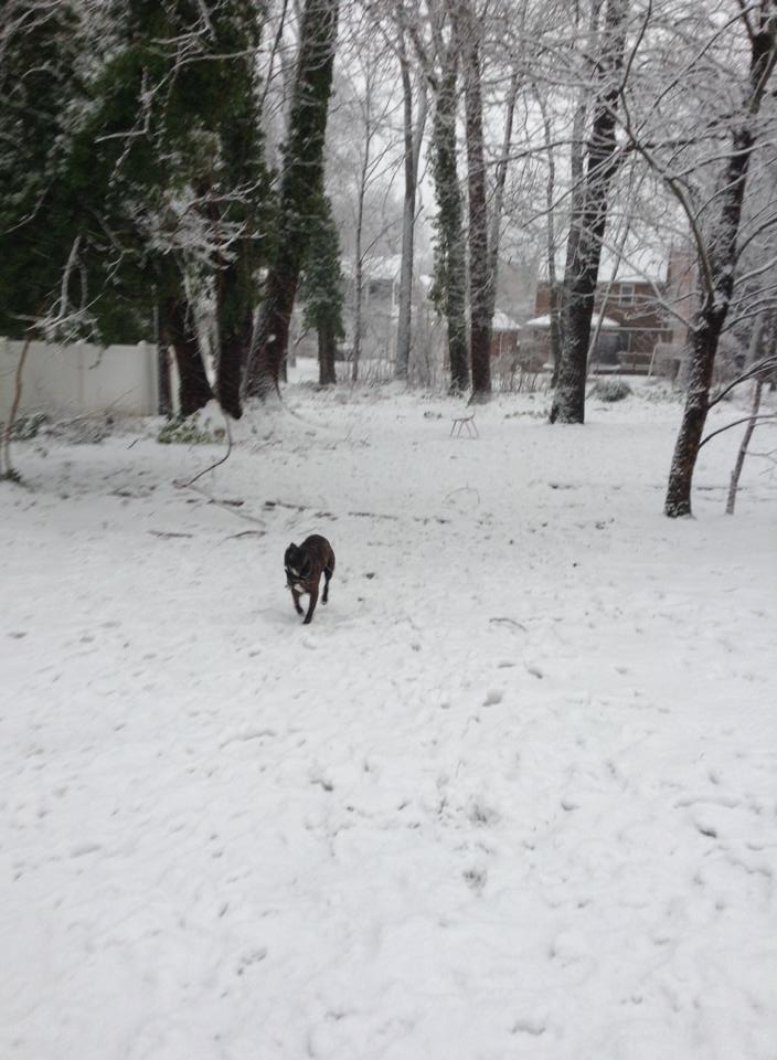 bella4.jpg