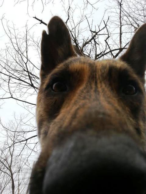 SNOOT.jpg