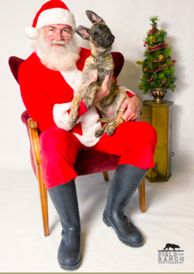 Hendrix and Santa