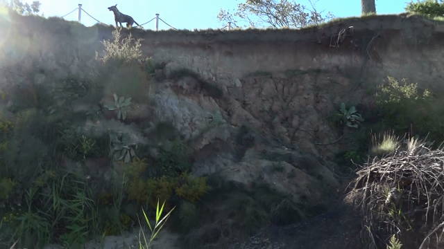 SAKIMA VICTORIOUS ON TOP OF BLUFF