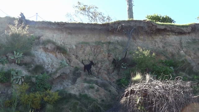 SAKIMA CLINGING TO LIP AT TOP OF BLUFF