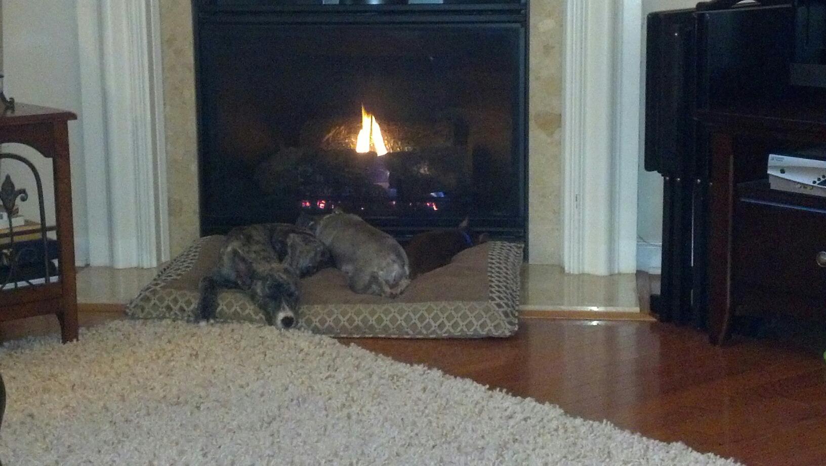 3snugglepuppies.jpg