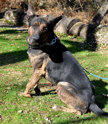 JerryLee03.jpg
