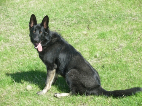 Hopper1.jpg