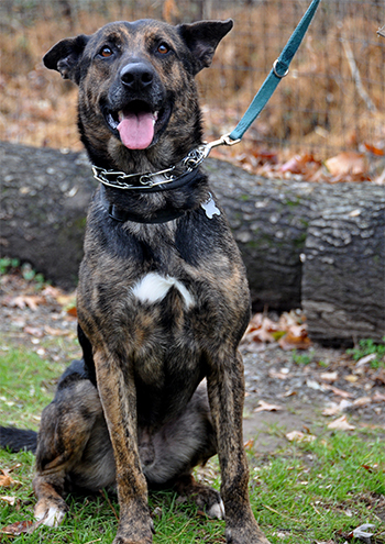 JerryLee04.jpg