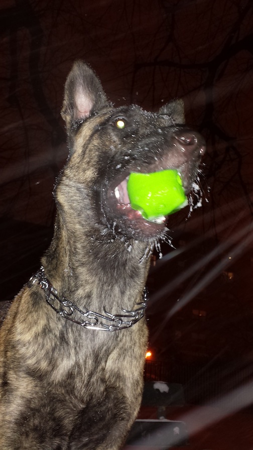 20140102_214525.jpg