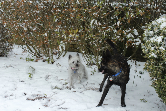 Listen up sis...You can run but you can't hide!