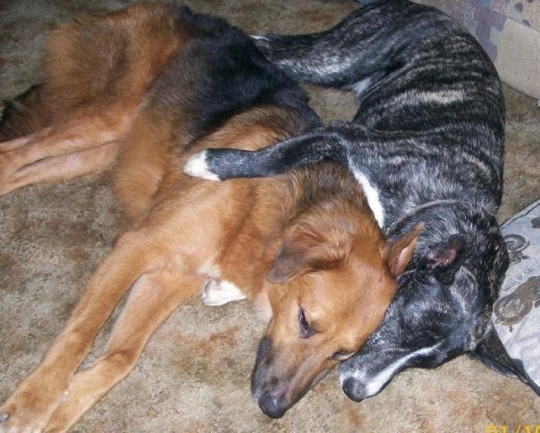 Dinga and her sister