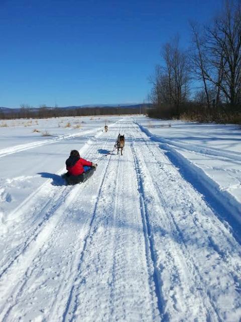 snowday2.jpg