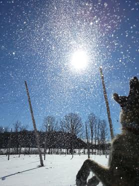 Moko doing Norse-Mythology-Theatre with his performance art piece "Fenrir swallowing the sun..."