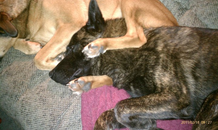 wore out after a long walk