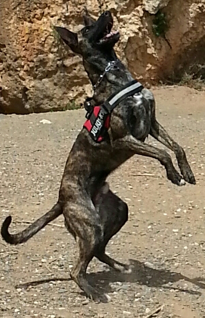20140416_141128-1-1.jpg