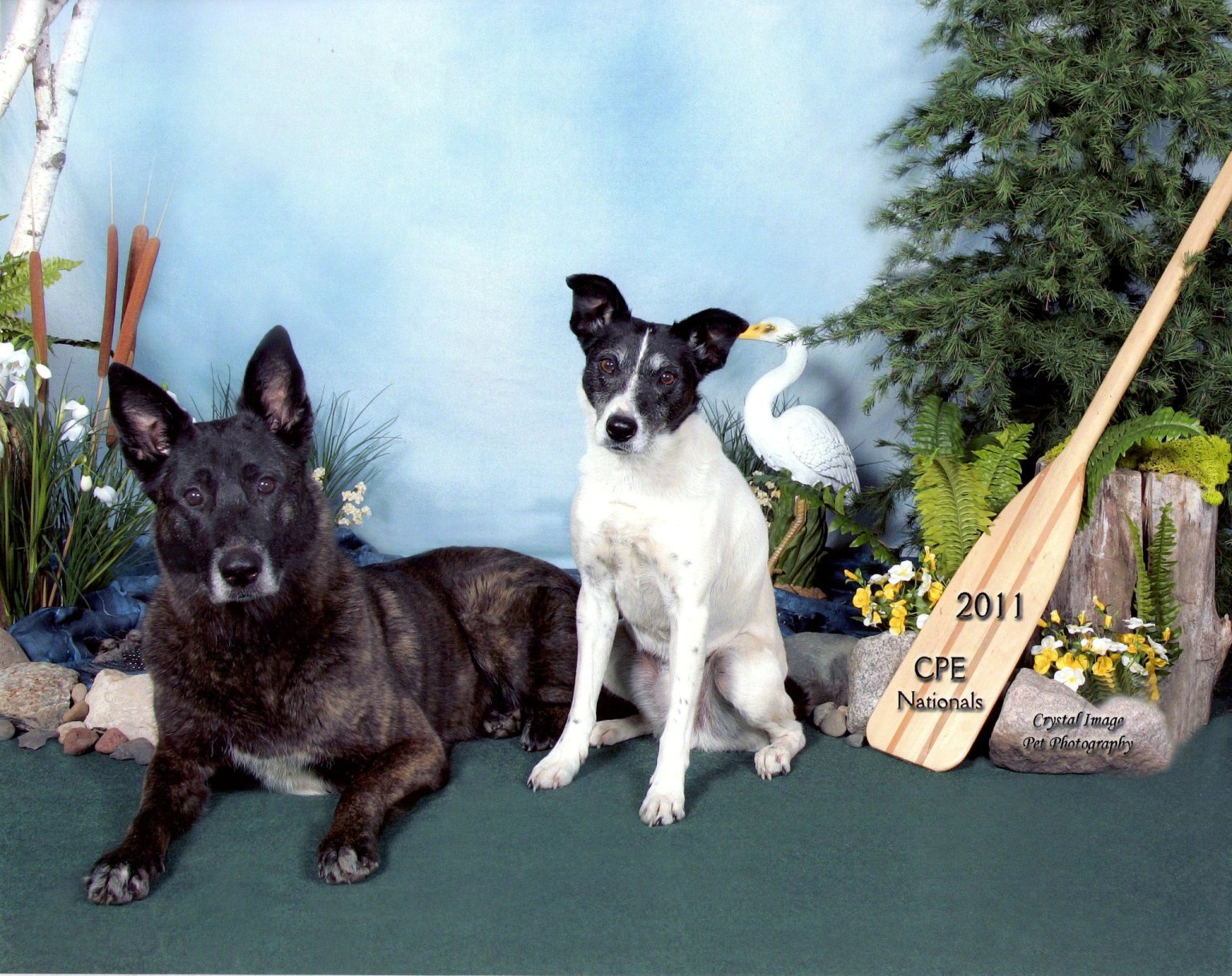 Vada and Seven at CPE Nationals.jpg
