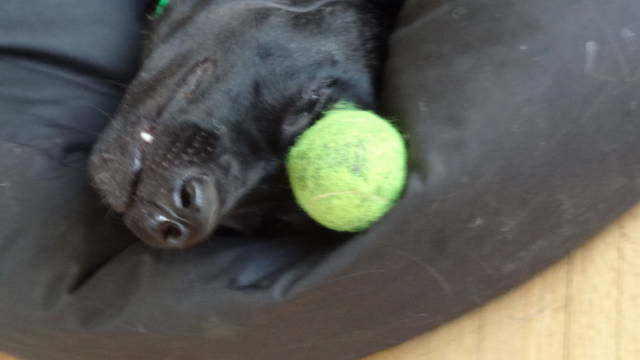 KEEPING AN EYEBROW ON THE BALL