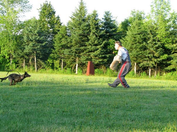 Chase.jpg