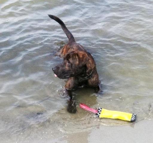 gabe in water.jpg