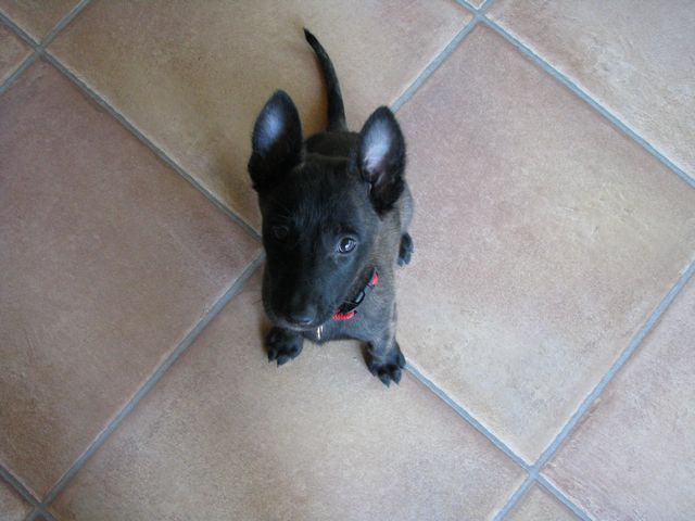 Xena IMG_0480.jpg