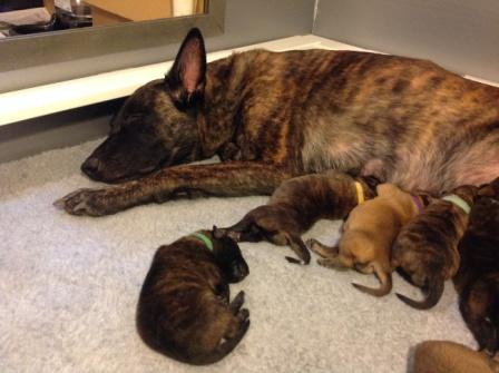 Sleepy mama!