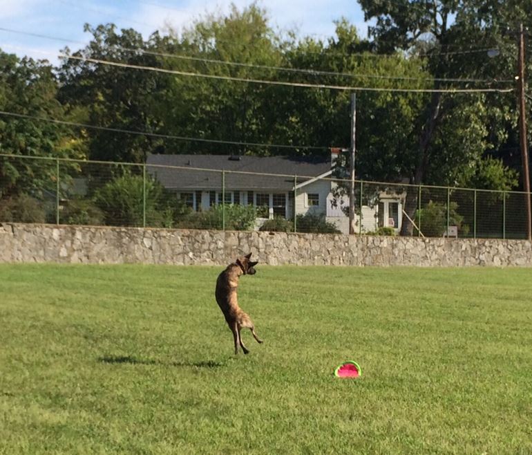TerribleThrow.JPG