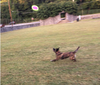 Catch_1sm.gif