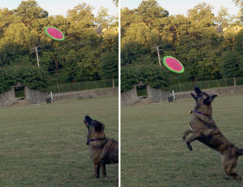Catch_3.jpg