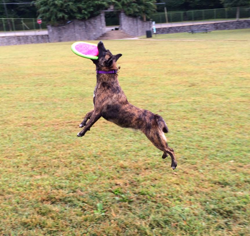 Catch1.JPG