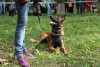 Loki=)