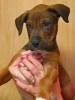 Hi, I'm Walt and here I am, approx. 7 weeks here