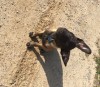 IMG_0182.JPG