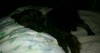 img20141211_224341.jpg