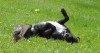 Xander on a break from Sullivan Schoolhouse.JPG