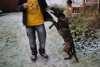 IMG_0277copy.jpg