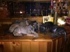 IMG_5720.jpg