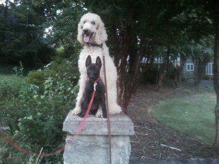 Apollo and Xena.jpg