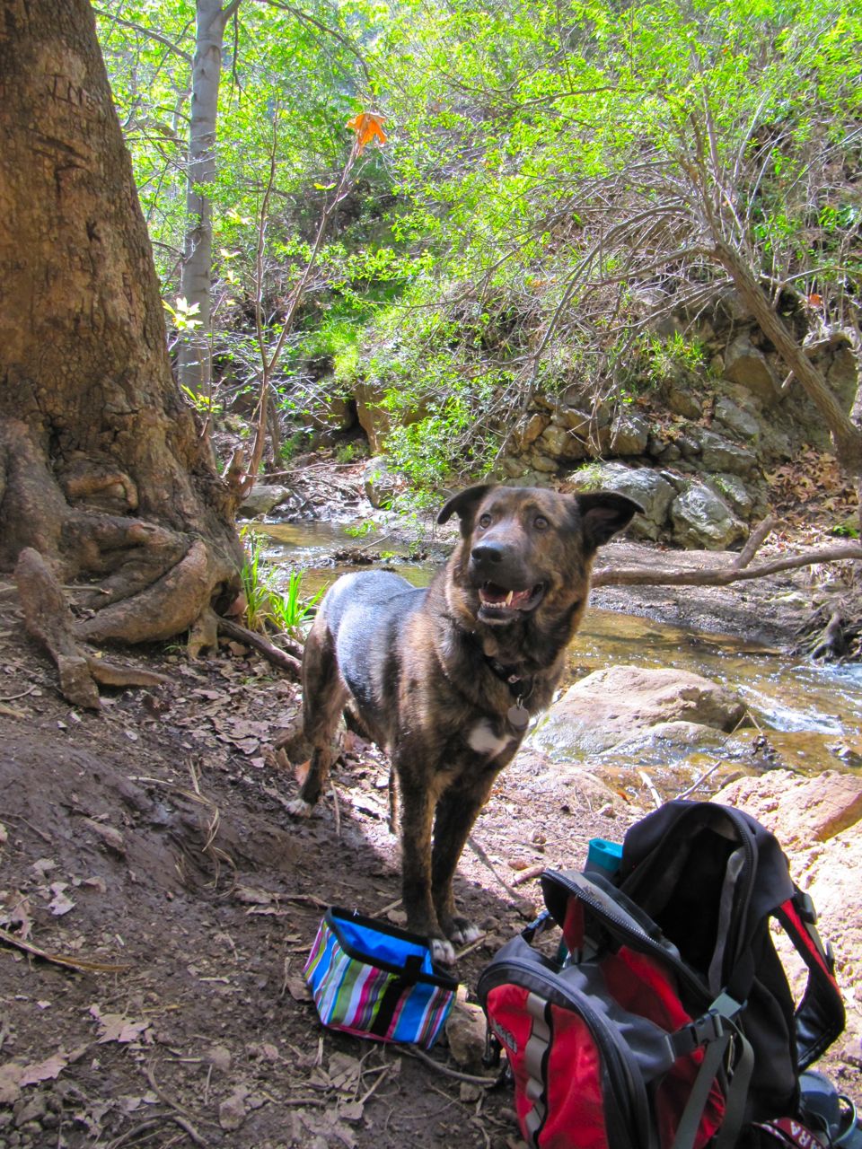 This is her more recently doing one of her favorite things, hiking!