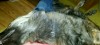 img20150227_123552.jpg