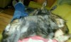 img20150227_123454.jpg
